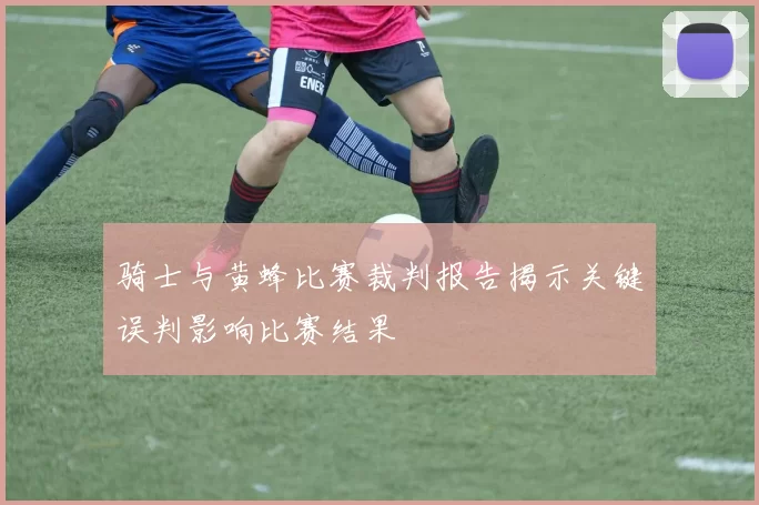 骑士与黄蜂比赛裁判报告揭示关键误判影响比赛结果